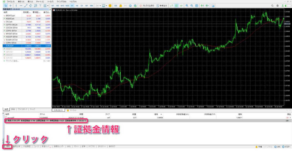 MT5 証拠金維持率表示状態