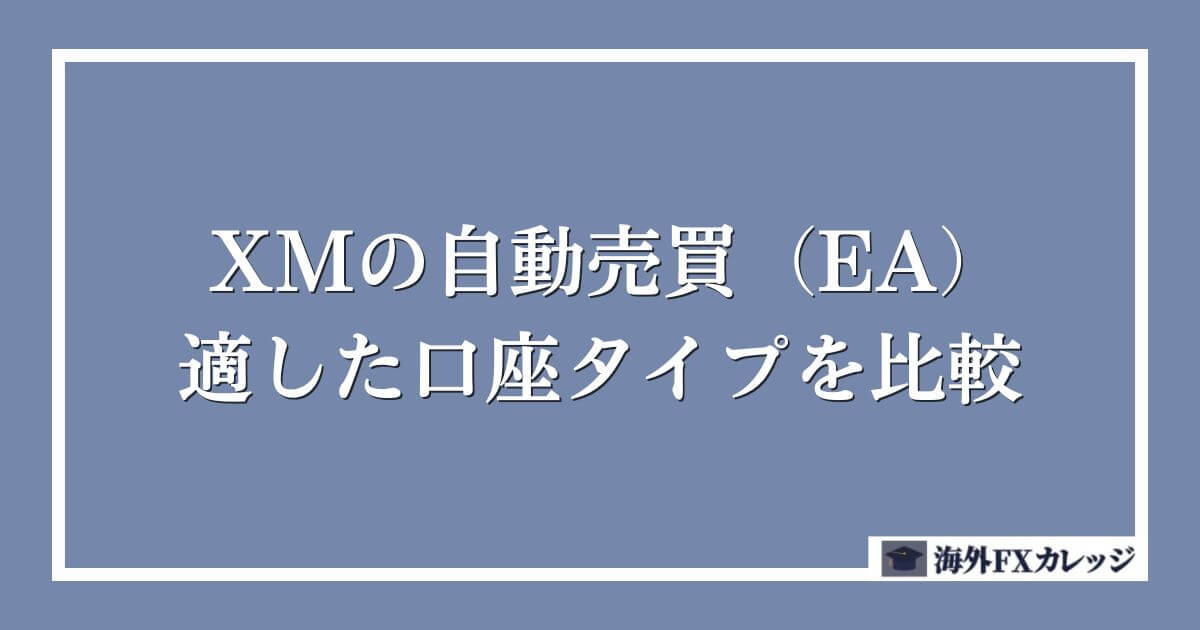 XMの自動売買（EA）に適した口座タイプを比較